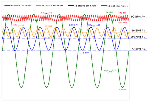 sinewave_graph_final (1).jpg