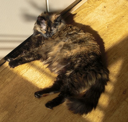 Zita