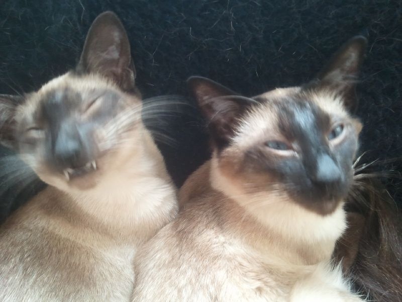 foto3