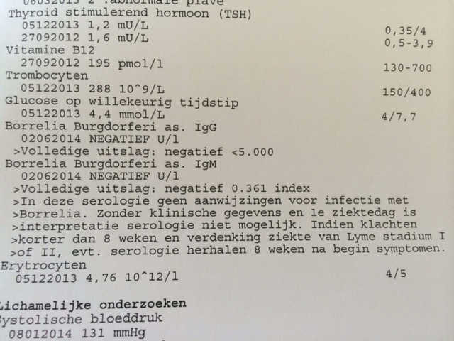 foto.JPG