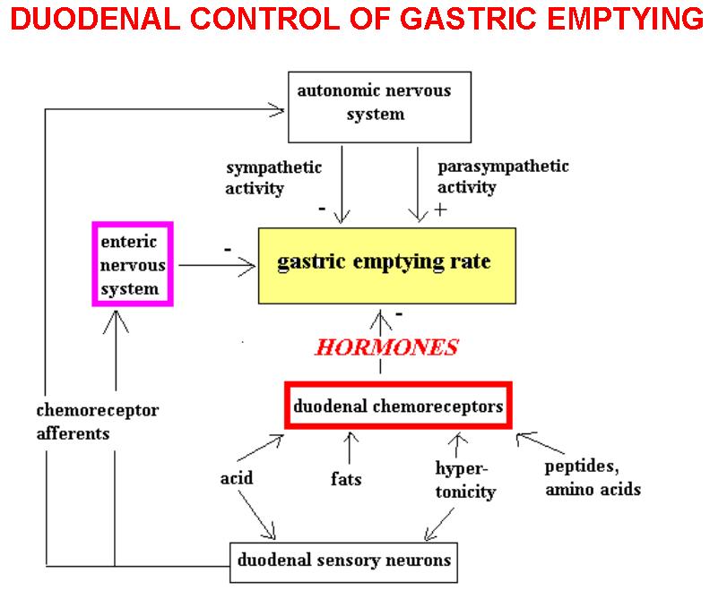 symp gastric.JPG