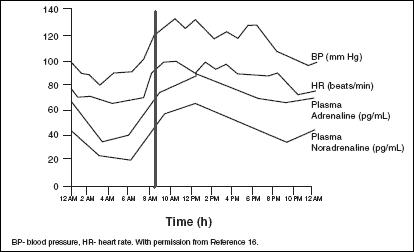 heartrate and epinephrine circadian.JPG